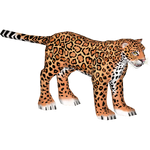 Giant Jaguar (Aubrey)