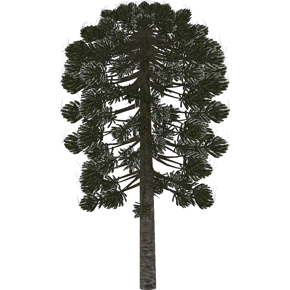 Monkey Puzzle Tree (Demon Hunter) | ZT2 Download Library