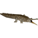 Sarcosuchus (Bunyupy)