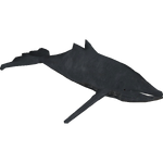 Giglioli's Whale (Creature Creators)