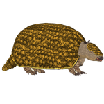 Glyptodon (Bunyupy)