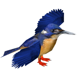 Category:Kingfishers & Hornbills | ZT2 Download Library Wiki