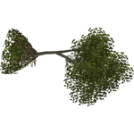 Fallen Tree (VGnome)