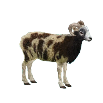 Jacob Sheep (Milchman, Platypus, RazvanM & Thom) | ZT2 Download