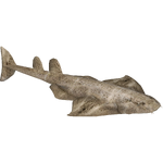 Angelshark (Zerosvalmont)