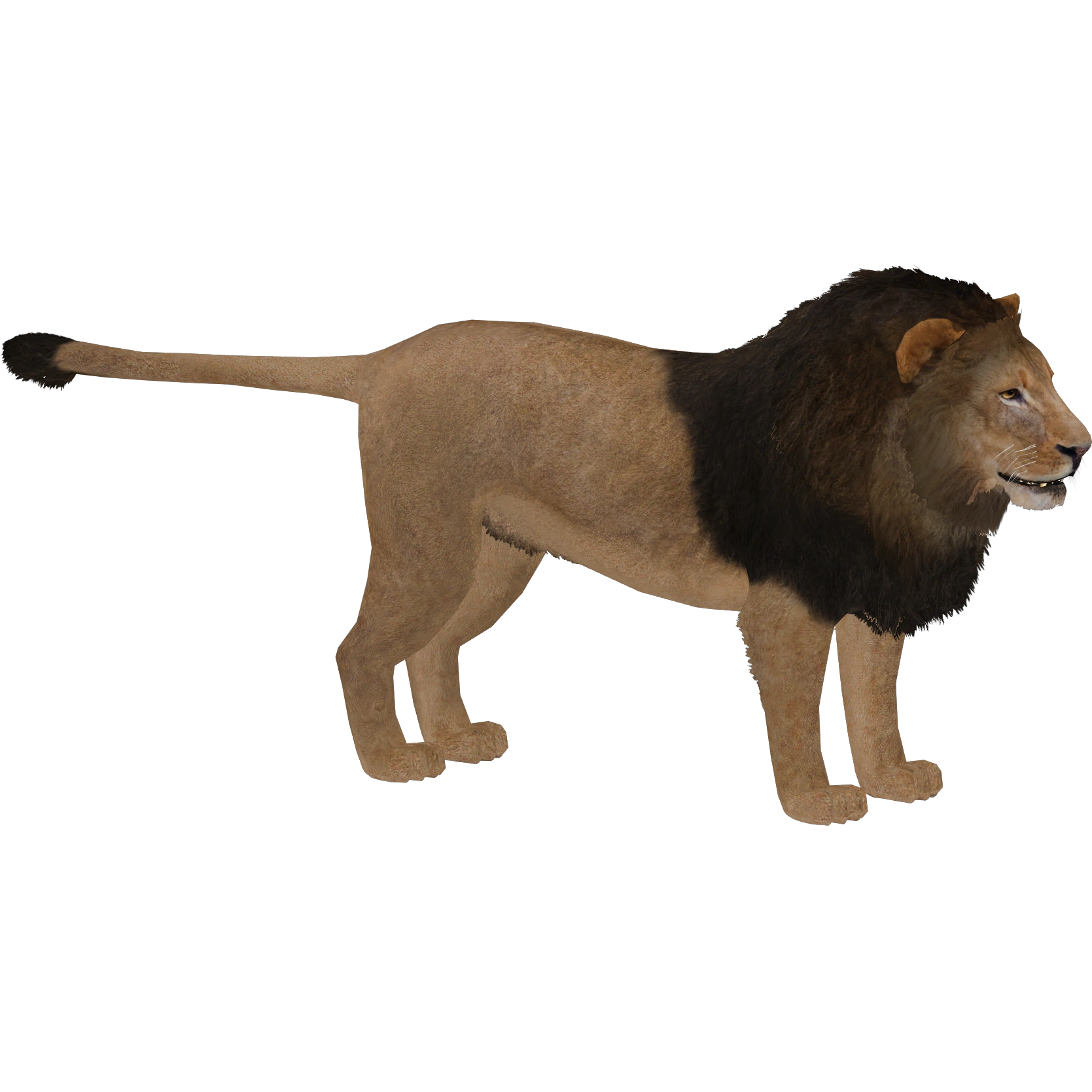 Lion (Zebrasorus) | ZT2 Download Library Wiki | Fandom