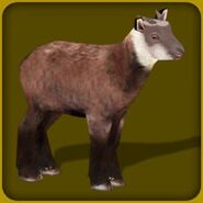 Japanese Serow