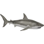 White Shark (Dedennedillo) (897 KB) White Shark (Dedennedillo)