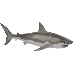 → Taraud filetage Dormer Shark Line