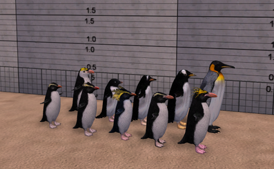 PenguinsDH