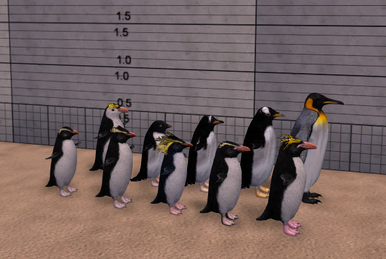 Adelie Penguin (Demon Hunter) | ZT2 Download Library Wiki