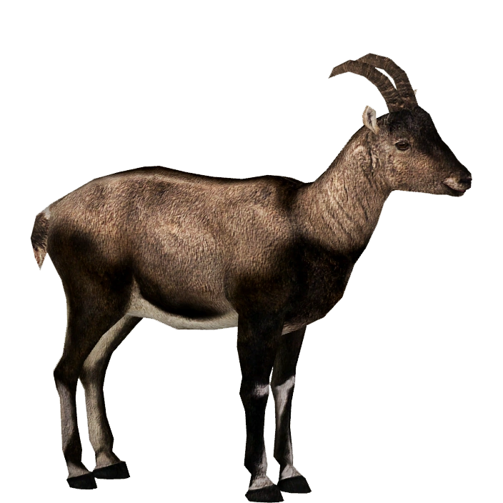 Pyrenean Ibex (ZTABC Team) | ZT2 Download Library Wiki | Fandom