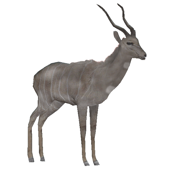 Lesser Kudu (Robert) | ZT2 Download Library Wiki | Fandom
