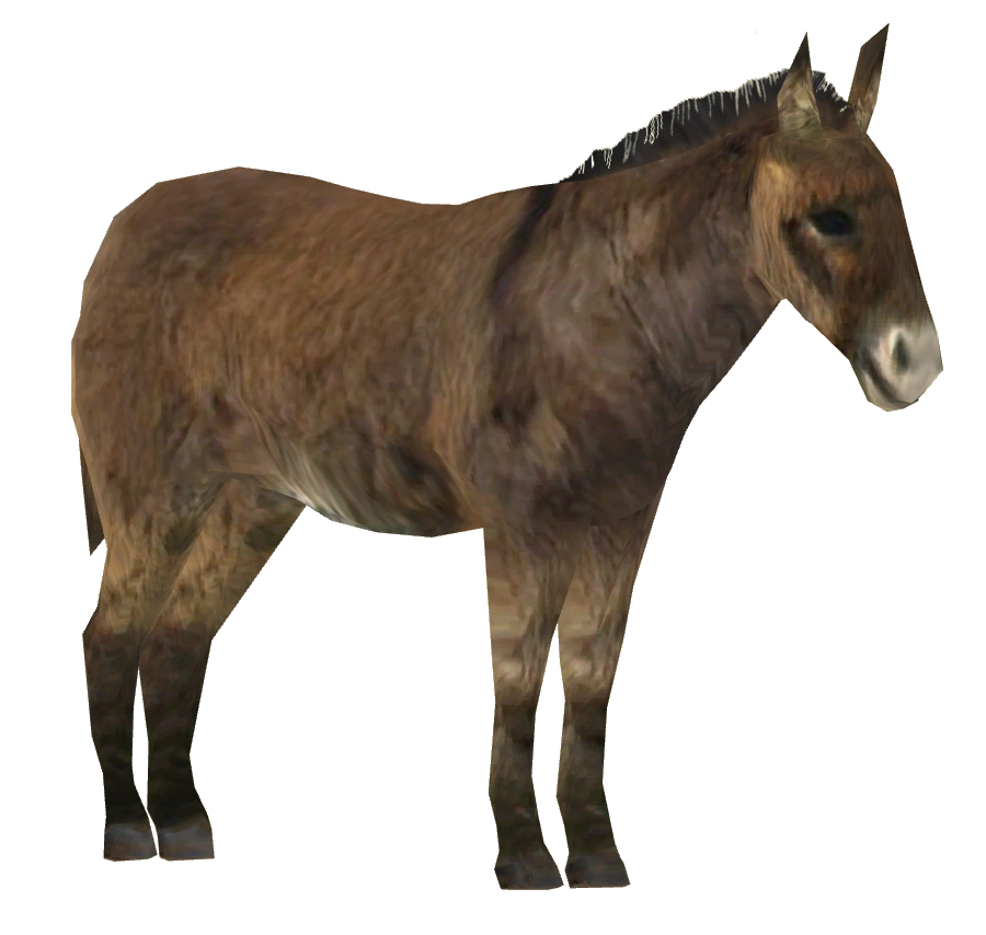 2点まとめ goodenough donkey shantii chino Super Donkey Kong - Xiang Jiao Chuan (香蕉船) (Unl) [NES