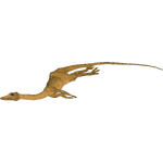 Compsognathus Carcass (Tyranachu)