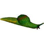Long-tailed Slug (Serpyderpy)