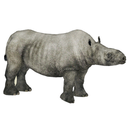 Category:Extinct Rhinos | ZT2 Download Library Wiki | Fandom