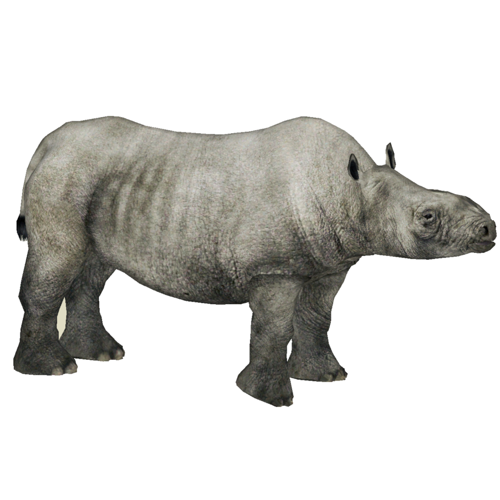 Category:Extinct Rhinos | ZT2 Download Library Wiki | Fandom