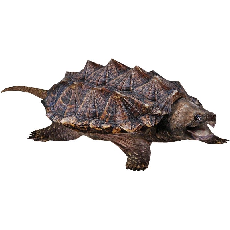 Alligator Snapping Turtle (Eryel & Zerosvalmont) | ZT2 Download Library