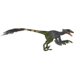 Dromaeosaurus (Austroraptor & Whywhymongoose)