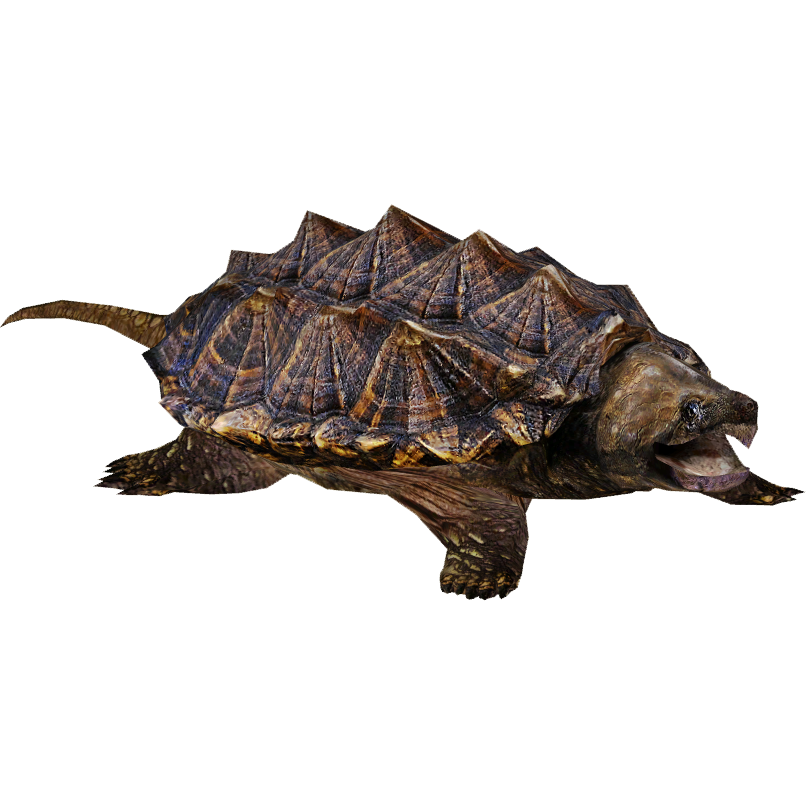 Alligator Snapping Turtle (Eryel & Zerosvalmont) | ZT2