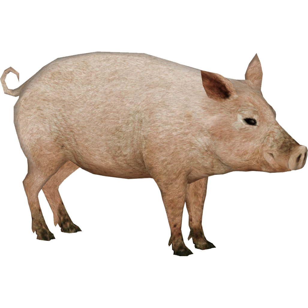 Domestic Pig (Tyranachu) | ZT2 Download Library Wiki | Fandom