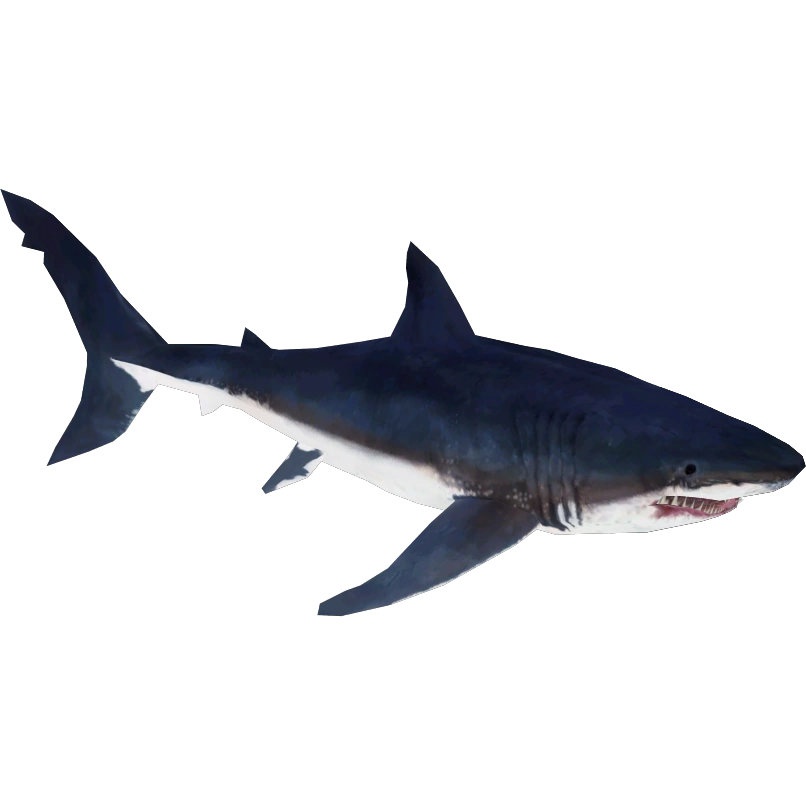 趣味・スポーツ・実用 THE RETURN OF THE WHITE ANIMALS ORACLE 趣味・スポーツ・実用 THE RETURN OF THE WHITE ANIMALS ORACLE