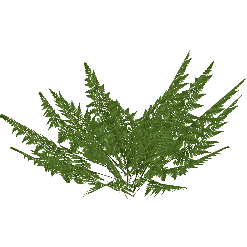 Ferns (ZetaDesigns) ZT2 Download Library Wiki Fandom