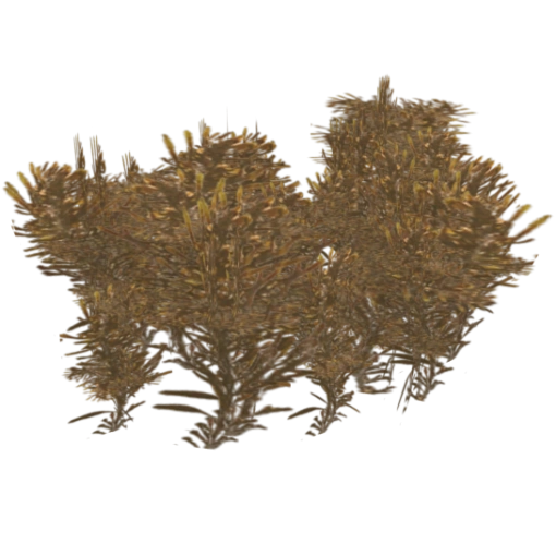 Sargasso Weed (ZetaDesigns) ZT2 Download Library Wiki Fandom