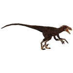 Dromaeosaurus (Austroraptor & Black Lemur)