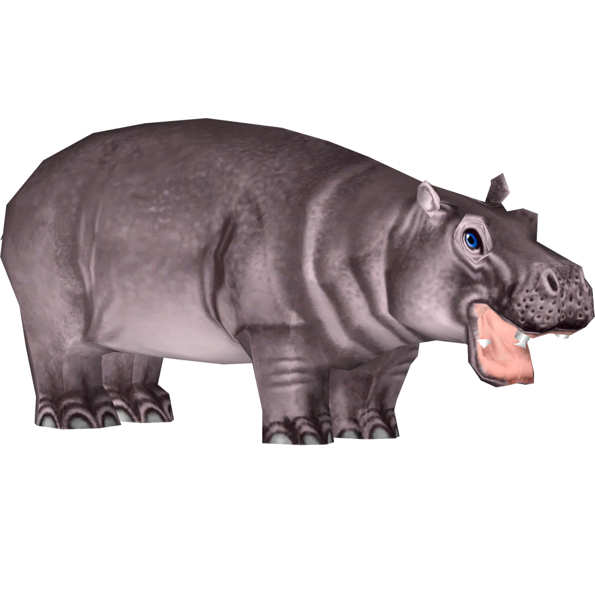 North American House Hippopotamus (Mjmannella) ZT2 Download Library