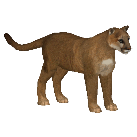 Puma (slice) | ZT2 Download Library Wiki | Fandom Puma (slice) | ZT2 Download Library Wiki | Fandom