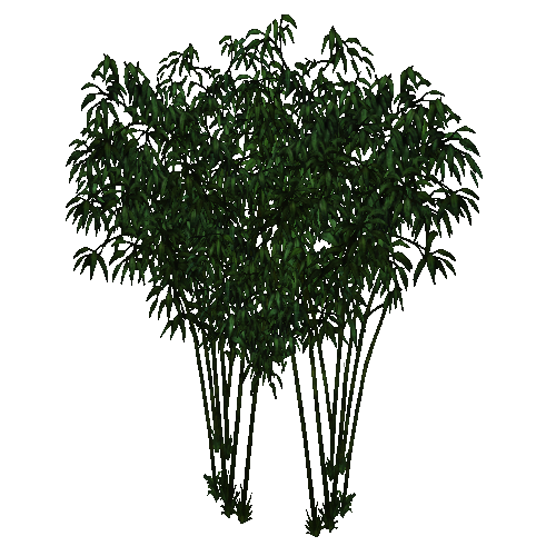 Fountain Bamboo (Fauna) | ZT2 Download Library Wiki | Fandom