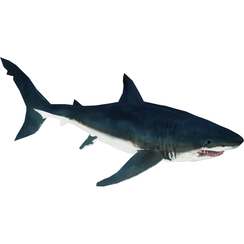 Hubbell's White Shark (Buffzoo & Jorge Gabriel) | ZT2