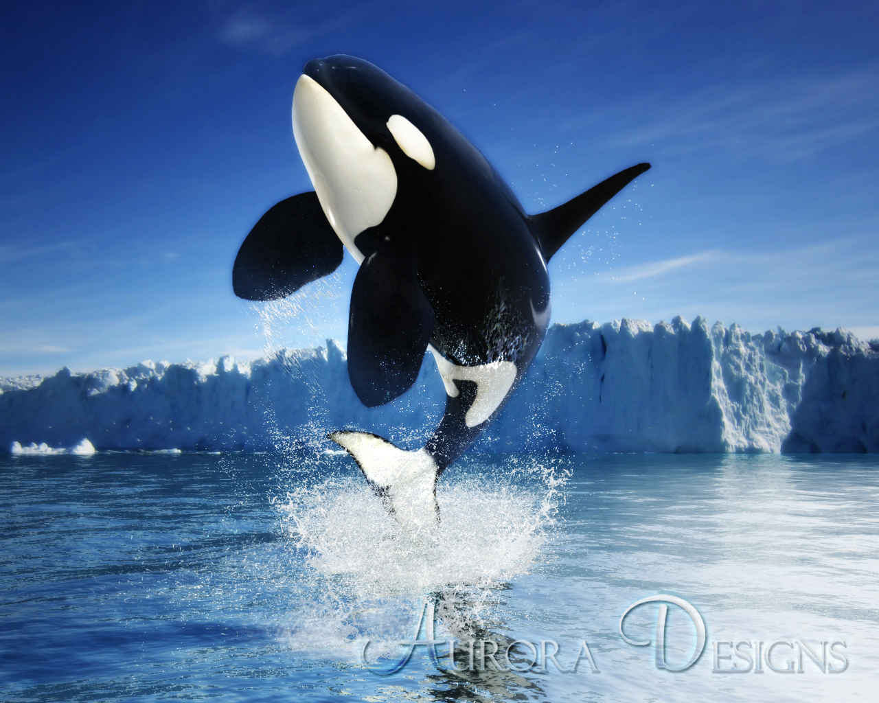 Orca (Aurora Designs) | ZT2 Download Library Wiki | Fandom