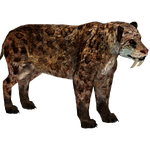 Smilodon fatalis (Jose Antonio)