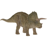Jurassic World Triceratops (Zoo Tycoon 2 Thailand)