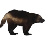 Wolverine (Athamus) (305 KB) Wolverine (Athamus)