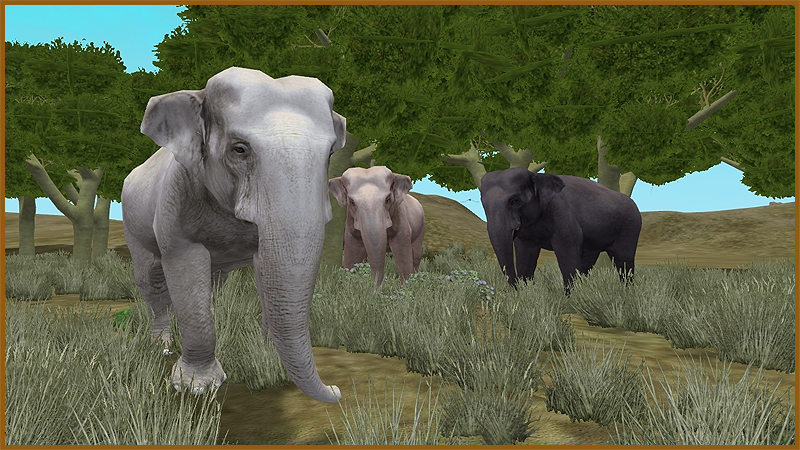 大注目 Asian Elephant (Aurora Designs) | ZT2 Download Library Wiki 語学・辞書・学習参考書
