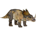 Centrosaurus (Philly)
