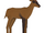 Red Hartebeest (Dinosaur & Okapi)