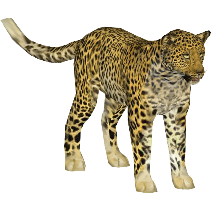 Indian Leopard (Tamara Henson) | ZT2 Download Library Wiki | Fandom