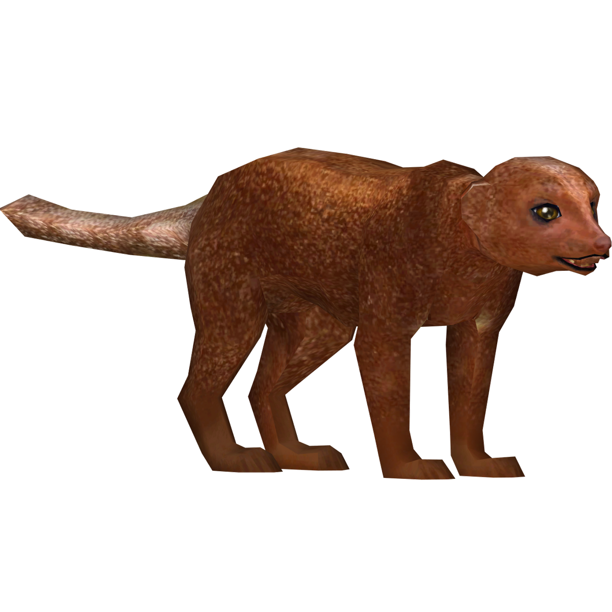 Dwarf Mongoose (Zoo Admin Design Team) | ZT2 Download Library Wiki | Fandom
