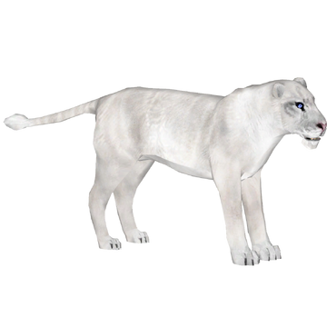 ホワイト・ライオン　WHITE LION/PRIDE White Lion – Pride – Vinyl (Different version of OBI., LP