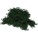 Rainbush Food (Zoo Tycoon 2 Thailand)