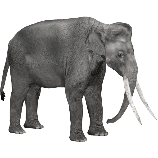 Reck's Elephant (Lazardi) | ZT2 Download Library Wiki | Fandom