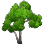 Cabbage Tree (Artifex)