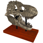 Tyrannosaurus Skull (Panrex)