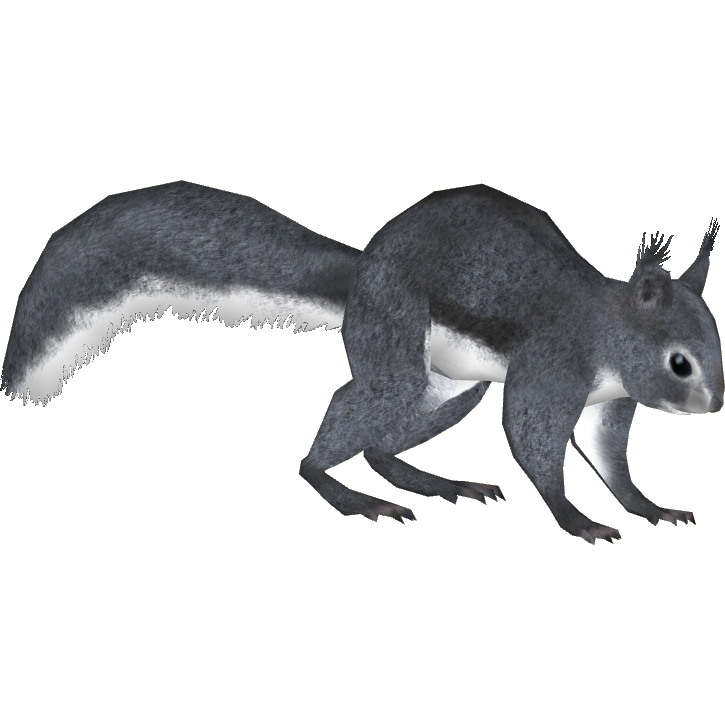 Abert's Squirrel (MiBound) | ZT2 Download Library Wiki | Fandom