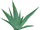 Aloe Vera (Aurora Designs)